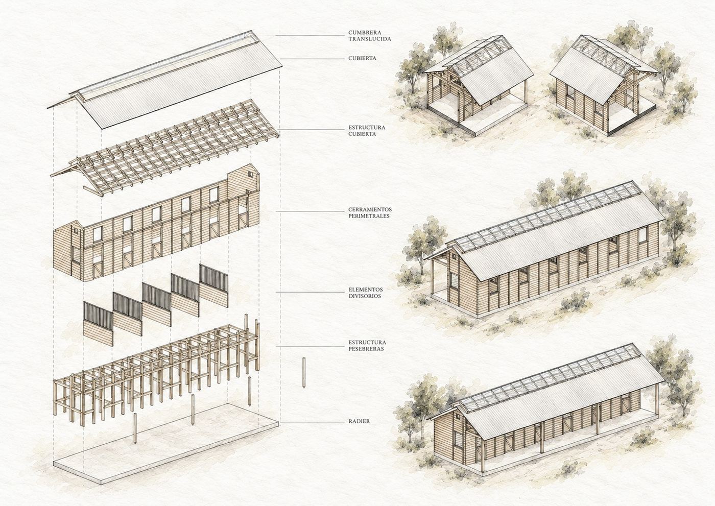 Axonometría de módulos de vivienda en madera