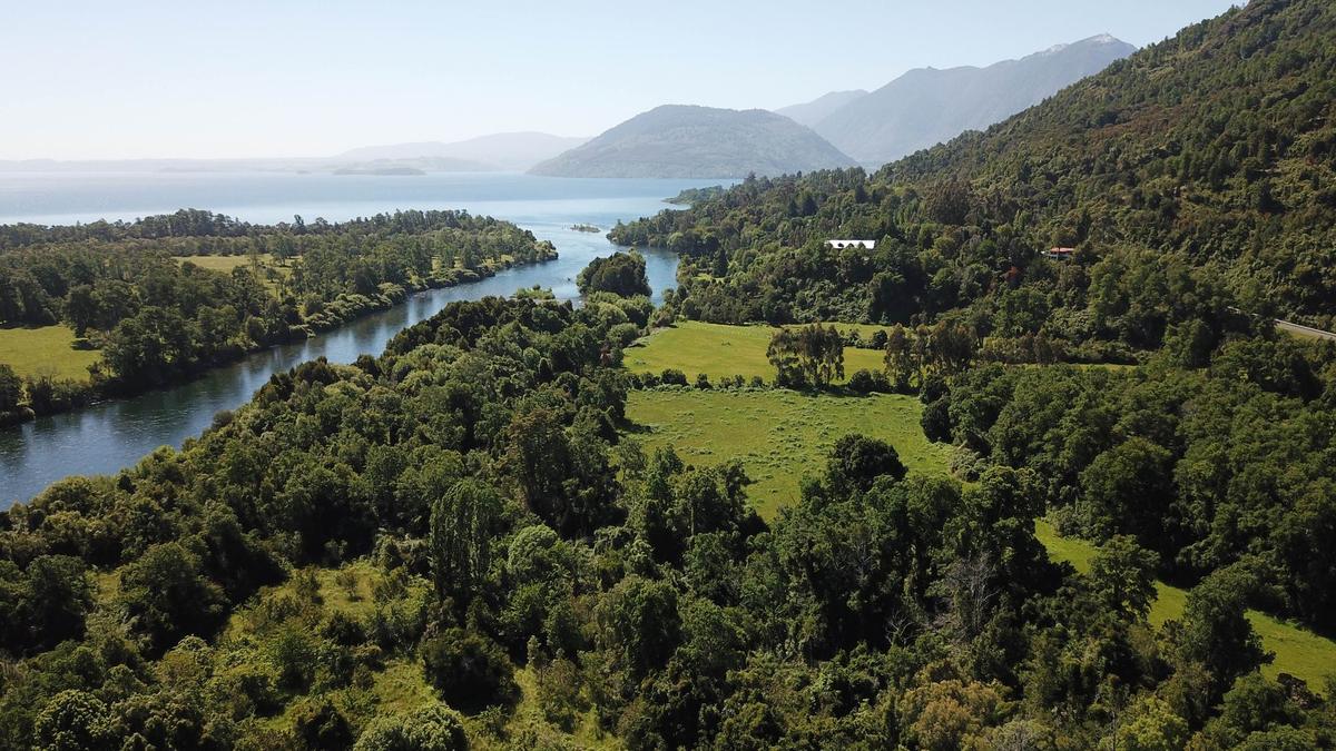 Río Calcurrupe y Lago Ranco desde el aire