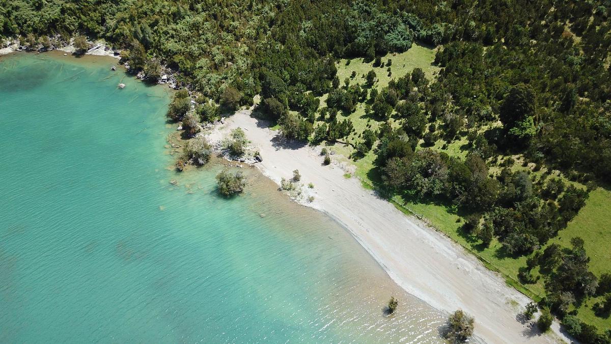 Borde del Lago Tagua Tagua con playa y bosque